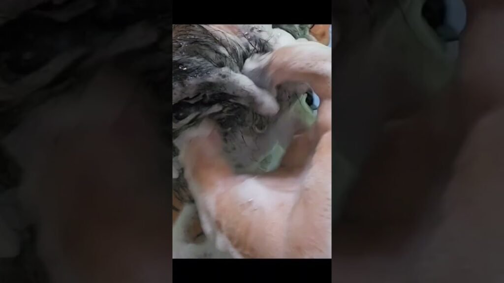 Fotos del antes y después de mi reto cumplido con minoxidil